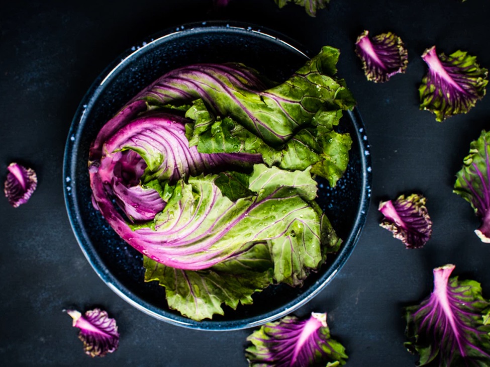 photo of red leaf lettuce in a blue bowl on a counter from above